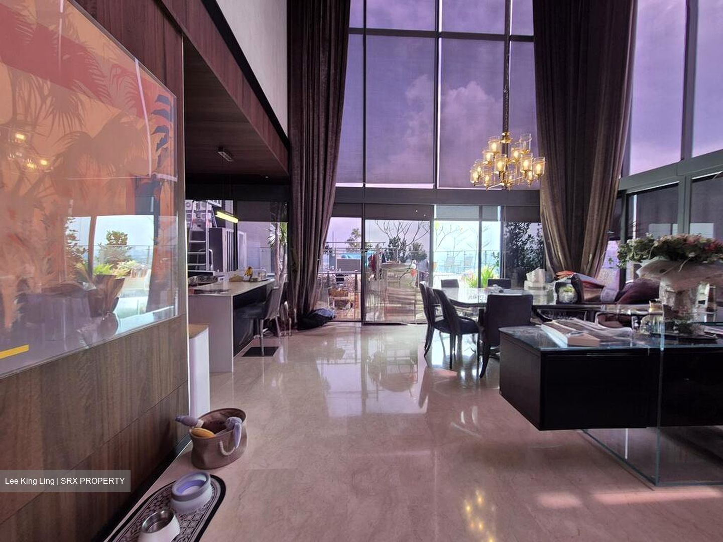 The Trizon (D10), Condominium #519252581